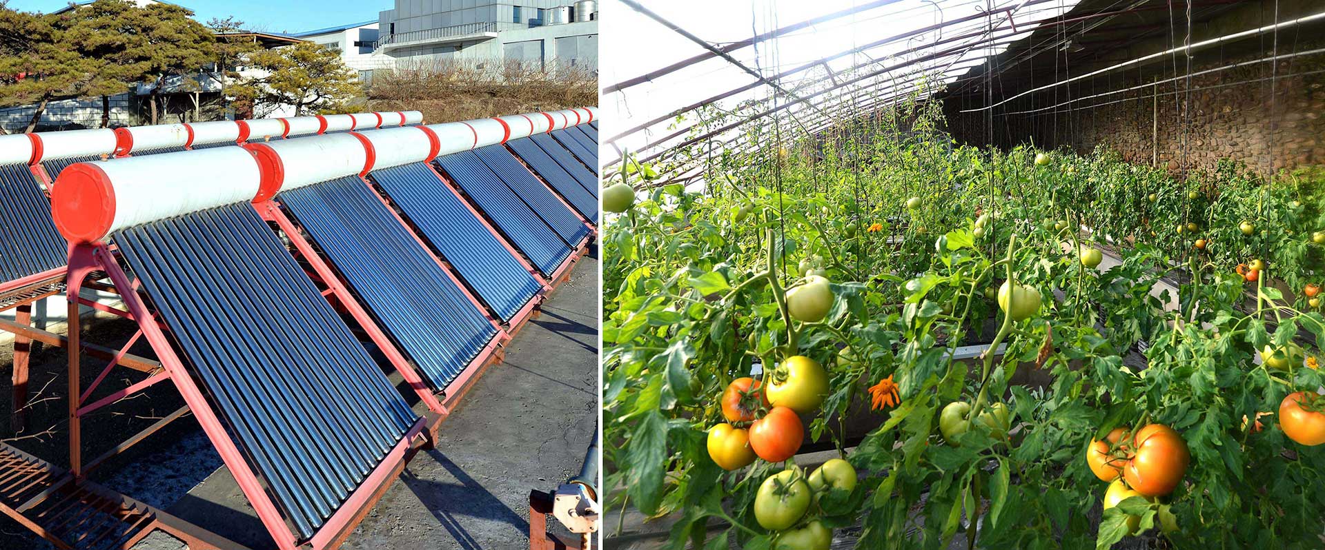 11-자력자강의 창조물 (1)